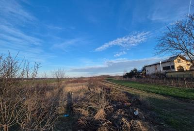 Vand teren in Tandava cu deschidere la PADURE (Gradinari, Giurgiu) - 4