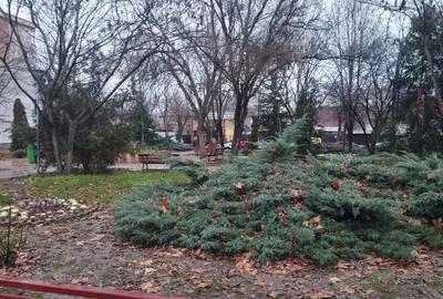 Vand apartament 3 camere decomandat, 85 mp, etaj 1 din 4, Mun. Calarasi, Cartier Mircea Voda - 2