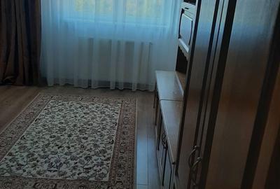 Garsonieră în Paltin - 5