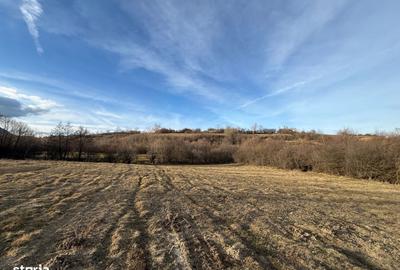 Spațiu comercial, în Bran - 12