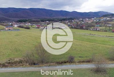 Teren intravilan in Tocile - 4354 m² - 2 fronturi - oferta competitiva - 3