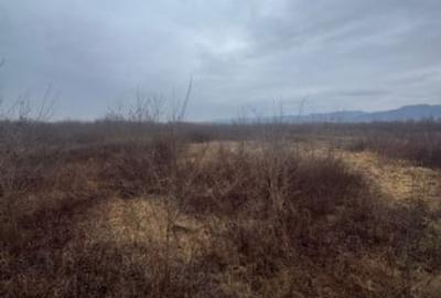 Teren de 8200 mp, în Tăuții-Măgherăuș