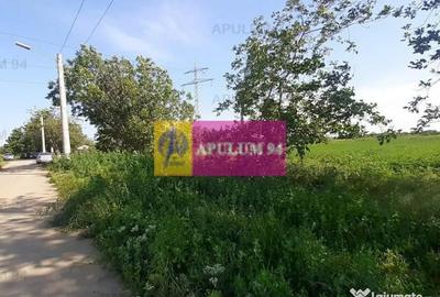 Teren de 5000 mp, în Copăceni - 16