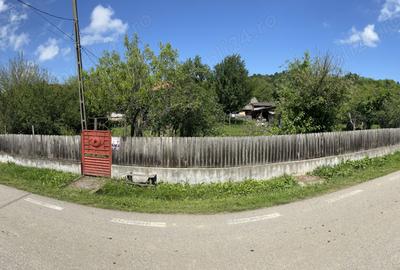 Casa la Ciovarnasani 3600mp - 1