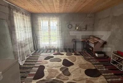 Casă cu 4 camere cu Teren 8000 Mp în Central - 10