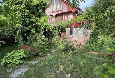 Casă cu 4 camere cu Teren 9800 Mp în Măgura - 10