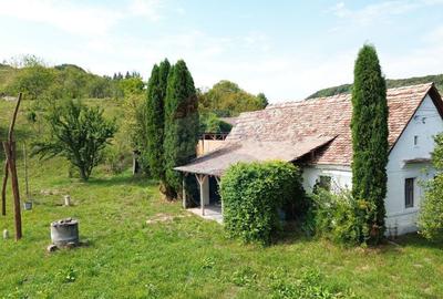 Casa de vacan?a in sat sasesc, Moarda? jude?u... - 15