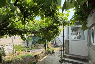 CASA DE VANZARE - INEL 1 - 3 CAMERE+ANEXE - - 12