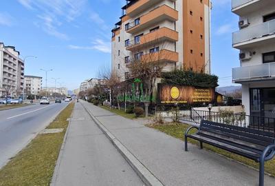 Spatiu Comercial/Dem Radulescu - 3