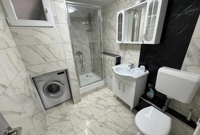 Apartament cu 2 camere, mobilat în Banu Manta - 8