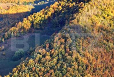 TEREN CU PANORAMA, strada principala, 9959mp, Marisel - 2