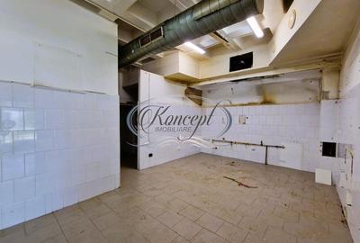 Spatiu comercial in Zorilor - 11