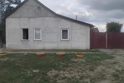 Vand casa in Nadlac - 2