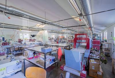 Proprietate industriala cu hale moderne, teren generos si acces Autostrada A1 Proprietate industriala cu hale moderne, teren generos si acces Autostrada A1 - 17