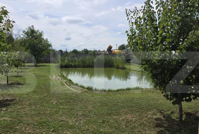 HOTEL / RESTAURANT YVETTE, de vanzare, 35 ari teren, zona Au - 12