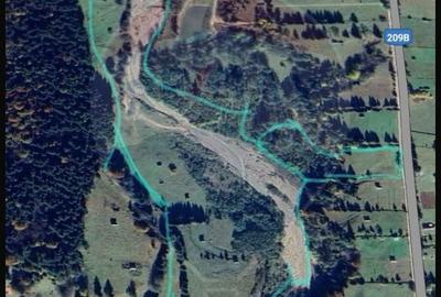 Teren intravilan de 49000 mp, în Borca - 16