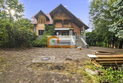 Vedere directa la Padure, 9000mp teren, Vila D+P+1E+M, semineu, foisor - 45