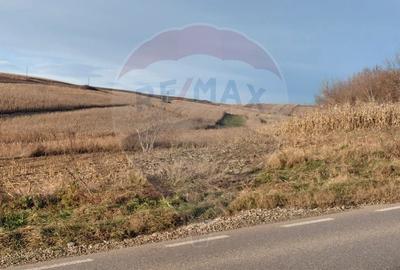 Teren extravilan 800 mp com. Secuieni, jud. Bacău - 2