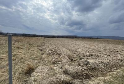 Teren agricol extravilan de 2300 mp, în Horodnic de Sus - 8