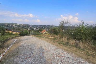 Teren intravilan , Bucium Barnova - 10