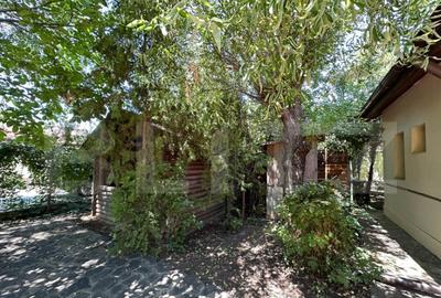 Vila spa?ioasa de 213 mp cu curte de 500 mp de inchiriat - 20