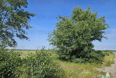 Teren de 219413 mp, în Florești - 2