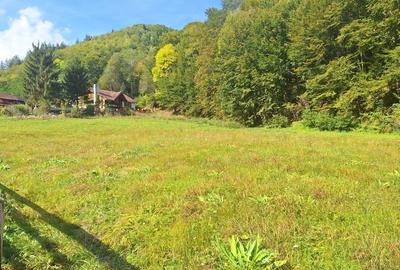 Spațiu comercial, în Măguri