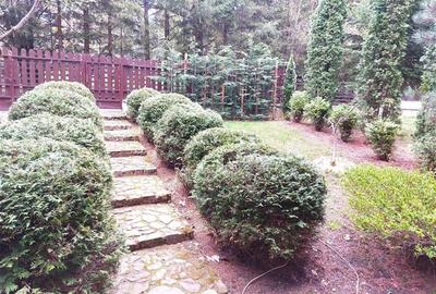 DUPLEX CU INTRARE SI CURTE SEPARATA IN POIANA BRASOV - 17