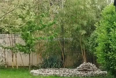 Casă cu Teren 1000 Mp în Lipănești - 14