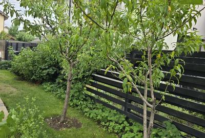 Casa de vanzare comuna Berceni proprietar - 4