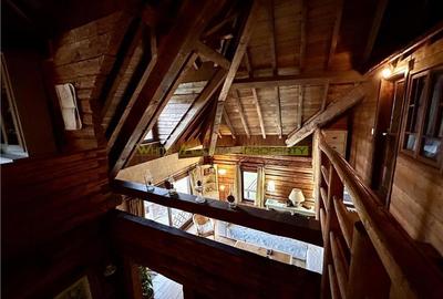 Raritate| Teren de vis de 6 ha de vanzare in Pestera Brasov - 11