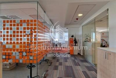 Birou, de 450 mp, în Băneasa - 14