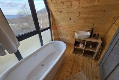 Proprietate Speciala in Gura Raului, Sibiu - Doua Cabane A-Frame - 7