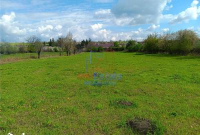 Casă cu 4 camere cu Teren 4239 Mp în Scobinți - 5