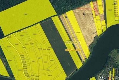 Lot 1000 mp in umbra padurii cu view la lacul academiei din Caciulati - 3