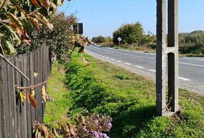 Teren Construcții intravilan de 500 mp, în Somova - 2