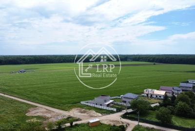 Teren Construcții intravilan de 25000 mp, în Dascălu - 13