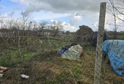 Teren de 2500 mp, în Bărăganu - 1