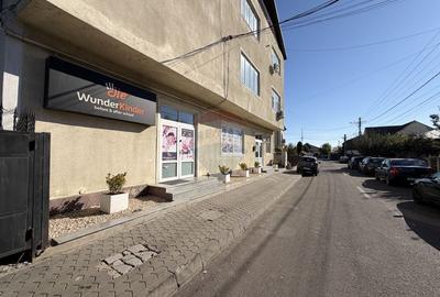 Afacere spre vanzare - 13