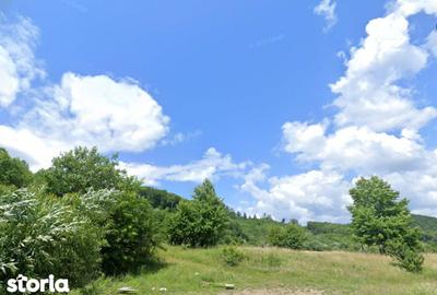 Teren de 5400 mp, în Oituz - 2