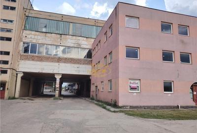 Cladire industriala cu societate in fuctiune (Miercurea Ciuc - 4
