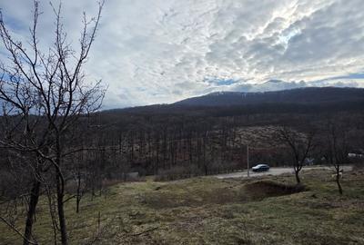 Teren de 700 mp, în Exterior Vest