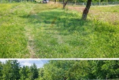 Casă cu 2 camere cu Teren 9035 Mp în Ocna Șugatag - 2