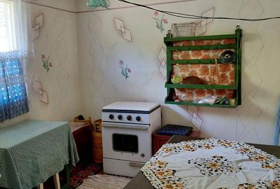 Casă cu 4 camere cu Teren 4327 Mp în Bârzava - 19