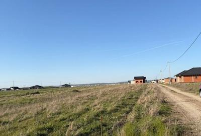 Teren de 505 mp, în Cihei - 6