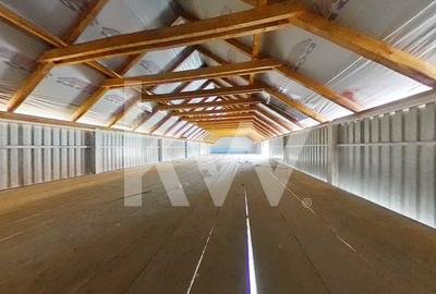 Spatiu industrial in complex Inexdoor, Șercaia – ideal logistic I COMISION 0% - 17