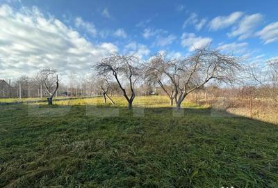 Teren de 2366 mp, în Bercu Roșu - 1