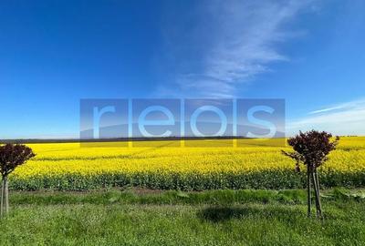 Teren 6.5HMakita Branesti deschidere 65 mp - 3