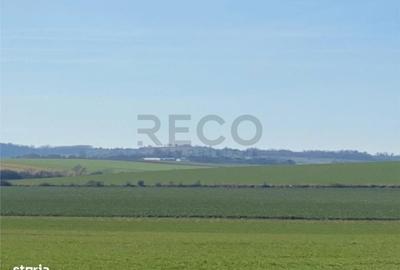 Spațiu comercial, în Tăut - 4