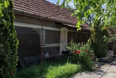 Casa si teren ideal pentru legumicultura Casa si teren ideal pentru legumicultura - 2